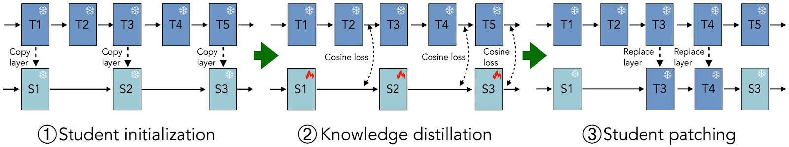 Boomerang Distillation Enables Zero-Shot Model Size Interpolation