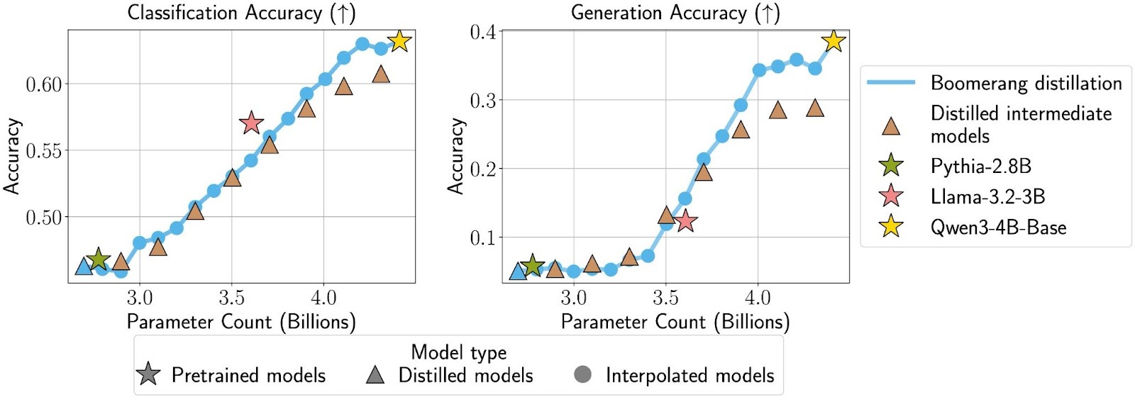 Interpolated models produced using boomerang distillation have comparable performance to pretrained and standard distilled models.