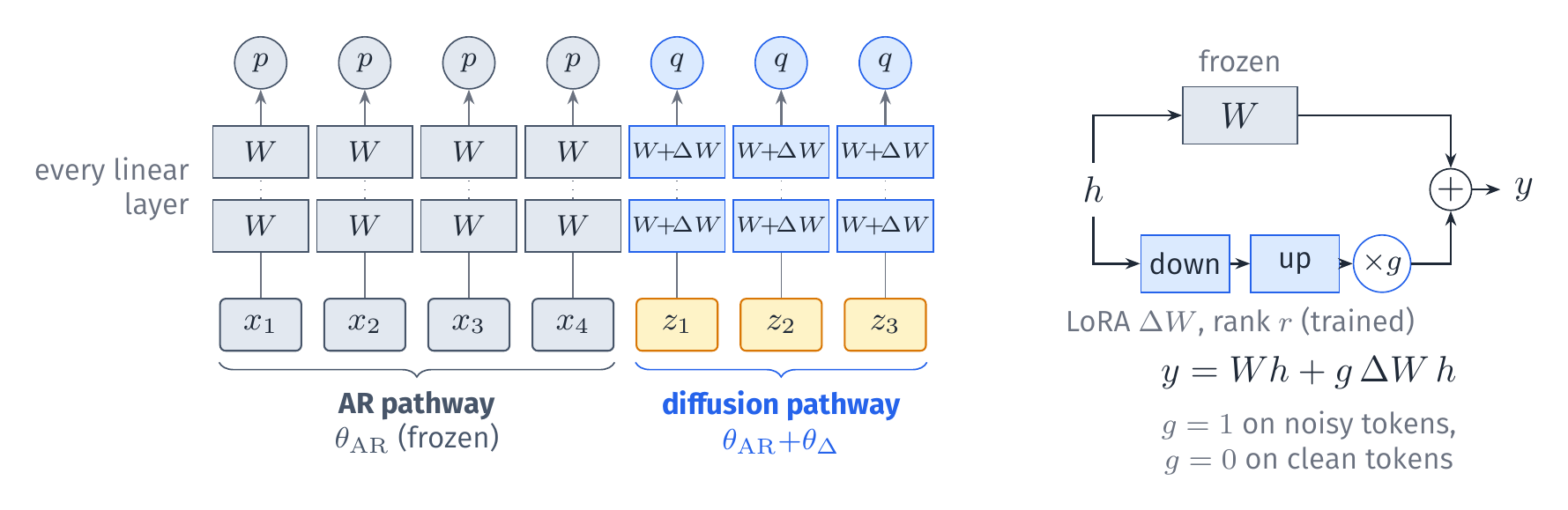 One network, two pathways